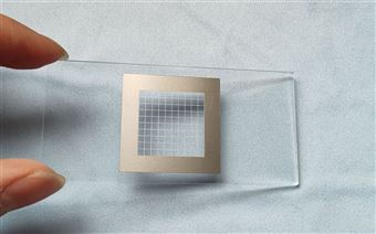 0.25ML浮游生物計數框