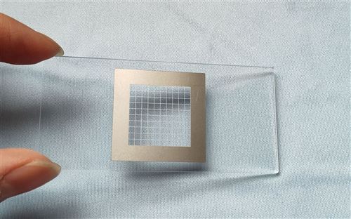 浮游生物计数框