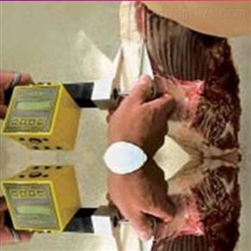 胴體瘦肉率測定儀LIN-STAR德國MATTHAUS