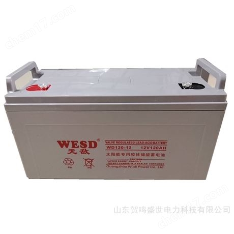 WESD蓄电池WD40-12厂家价格 广州*