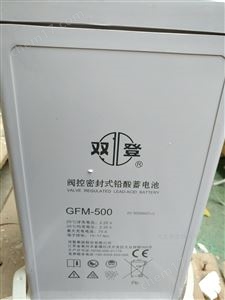 雙登蓄電池GFM-300儲(chǔ)能/UPS電池