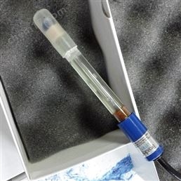 E-3055 在線污水檢測pH傳感器探頭