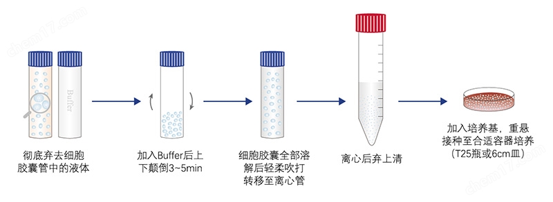 細(xì)胞膠囊流程圖.jpg