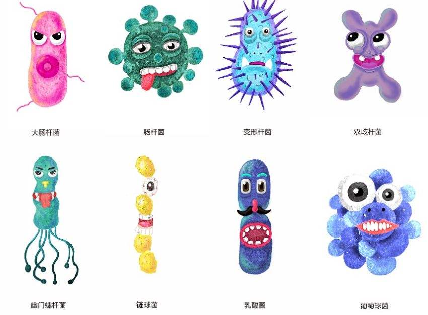 *疾控 通过水传播大肠杆菌埃希氏菌金标试剂