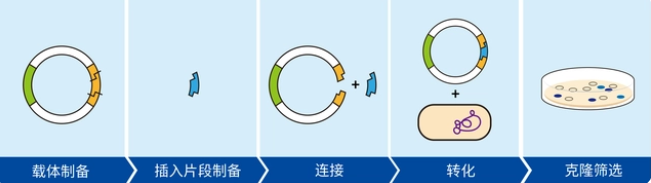 圖片.png