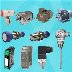 德國SPM脈沖振動傳感器 SPM TRV-20