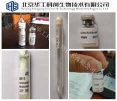樹干畢赤酵母