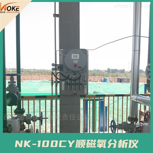 順磁氧分析儀